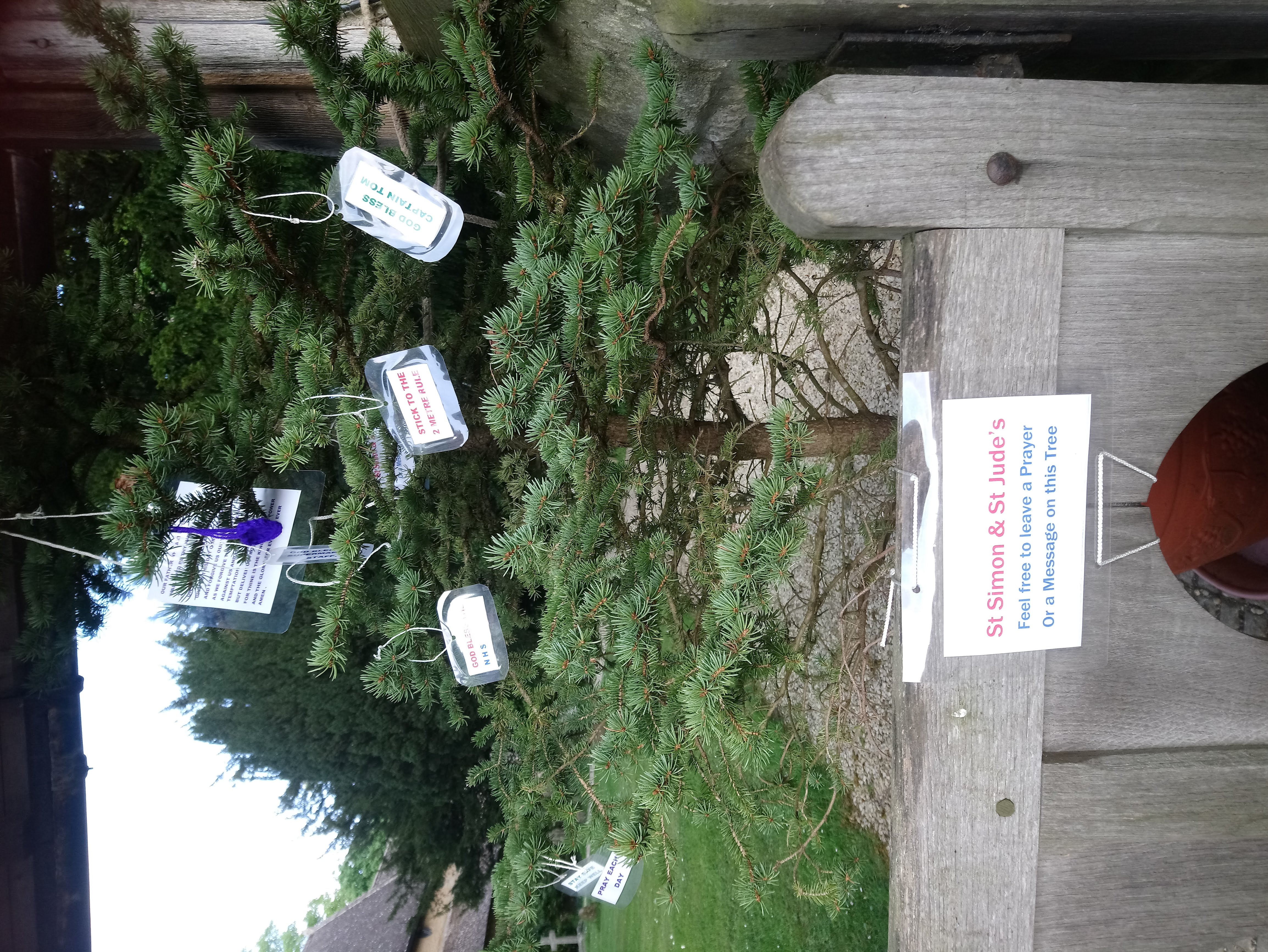 Milton Prayer tree